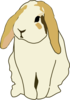 Lop Eared Rabbit Clip Art